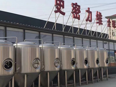 城区精酿啤酒设备厂—如何判断精酿啤酒设备的密封件需要更换？